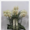 건축사사무소아키포럼 이미지