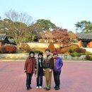 골든루트로 이미지