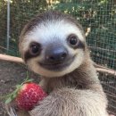 WR(대구광역시 중구)-11[달구벌대로]-하-46 | 내가 좋아하는 것: 키티, 케로로, 떡볶이, 치킨…