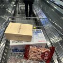 용민로 | 코스트코 추천템 3가지｜생물 가리비·붉은새우·산토리 위스키 가격 후기