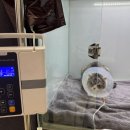 24시 안박동물병원 이미지
