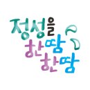 컬러앤래쉬