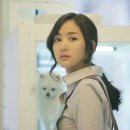 새론동물병원 | 영화 고양이 후기/리뷰 [고양이:죽음을 보는 두개의 눈]