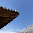 생각대로 | 완주에서 귀촌을 직접 경험하다! '귀촌, 생각대로'교육 후기