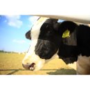 승준목장 이미지