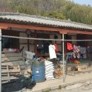 현산면사무소 이미지