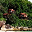 숲속트리하우스 이미지