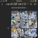 119원룸관리 이미지
