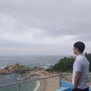 씨레스트 투