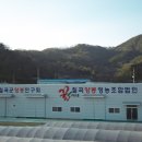 칠곡양봉영농조합법인 이미지