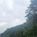 수리산도립공원 매쟁이골(입구) | 군포가볼만한 곳 수리산도립공원 숲속놀이터