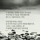 제 인생에 가장 도움이 되었던 책 - 연금술사 [파울로 코엘료] 이미지