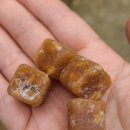 아띠모리 이미지