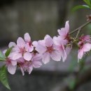 서촌공원 이미지