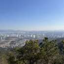 김종행정사사무소 이미지