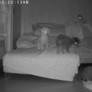 영천 스타농원 이미지