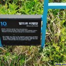 모슬포고등어 이미지