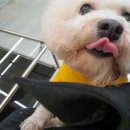 파인어스 - 서초구 | 파인어스