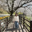 레몬비예당점 | 봄바람 들춰보기