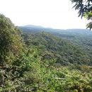 표선청년회의소 이미지