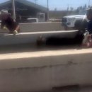 정오교통(주) 이미지