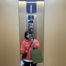 호텔 테리스 이미지