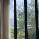 효행로1374번길 | [경기/화성] 테라스 야외 정원이 있는카페 화성 반송동 베이커리 브라운스케이프