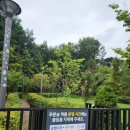 금강초롱 | 광교푸른숲도서관에만 있는 푸른숲 책뜰! (금강초롱 이용후기)