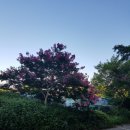 원앙노래방 이미지