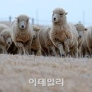 상서목장 이미지