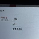 조례동술집