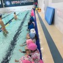 리틀아쿠아파크 이미지