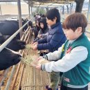 감물초등학교 병설유치원 이미지