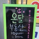 순천의봄공인중개사사무소 이미지