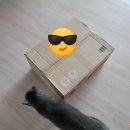 엔젤인 | 다이소 💙엔젤코어💙 사려고 또 다이소몰 주문한 후기