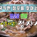 터줏대감 이미지