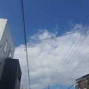 오늘 일본 날씨 좋았어요! 하늘이 참 예뻤어 이미지