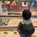 금천 어린이집 | 금천 쥬라리움 17개월 아기랑 실내동물원 키즈카페 다녀온 후기