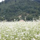 카페친구 이미지