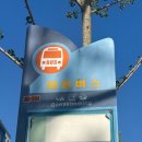 효소체험실 | (부산/대연동)부산효소찜질연구소 건강힐링센터 효소온 효소ON 사랑드림점 리뷰
