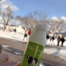 ❄️7박 9일 홋카이도 삿포로 여행❄️