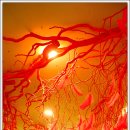 아미미술관 이미지