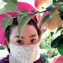 하은농원 이미지