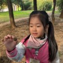 한별숲어린이집