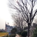 자산동117 이미지