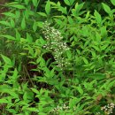 미사한강1호공원 이미지