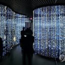 숲사랑(산불방지)홍보관 연합뉴스