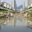 가음정천 이미지