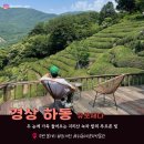 무릉도원면-51 이미지