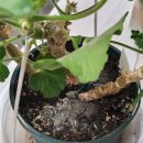 해준농장 이미지